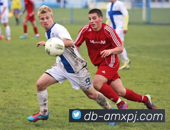 新葡京娱乐服务体系